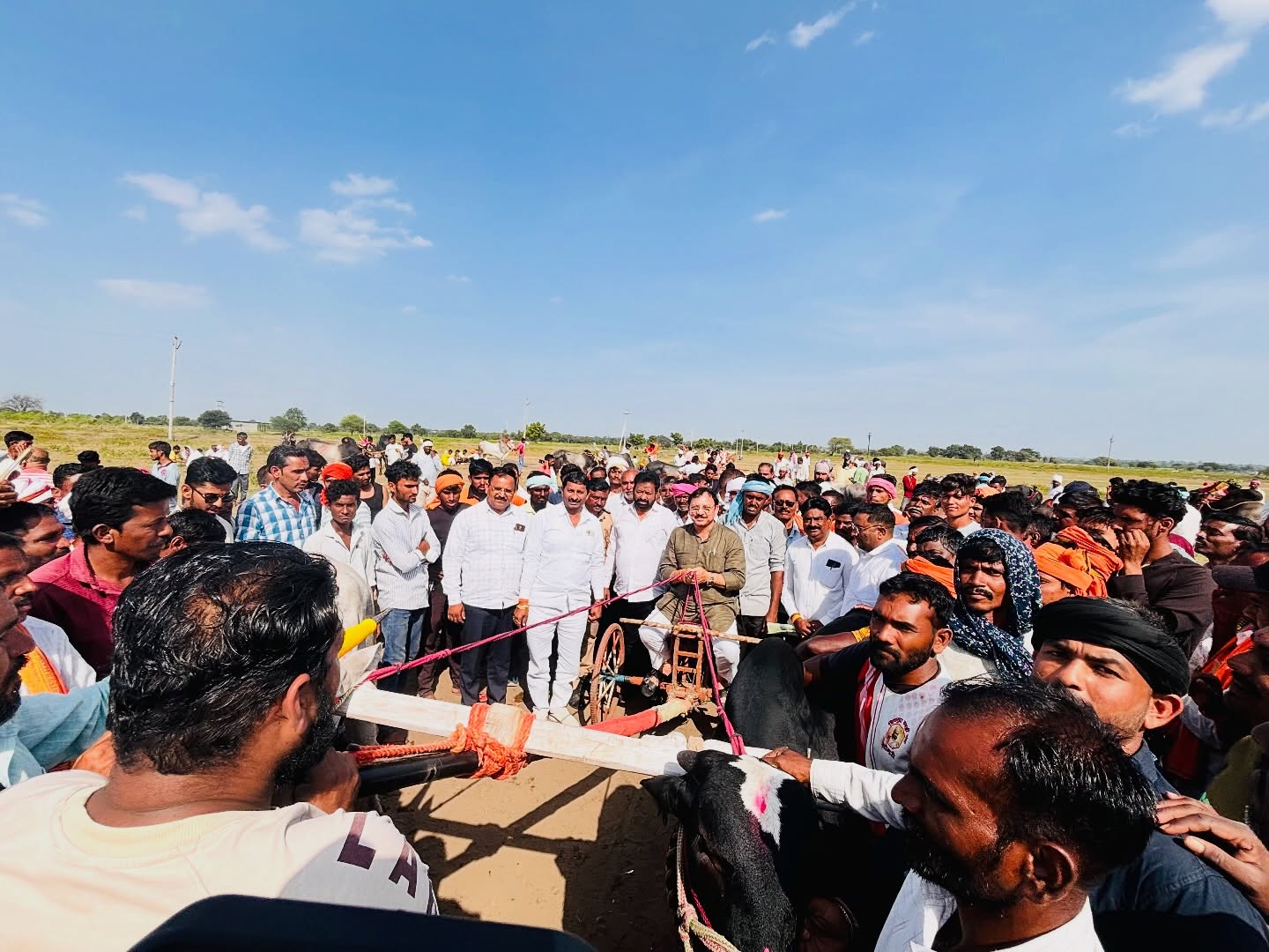 बैलगाडी शर्यत